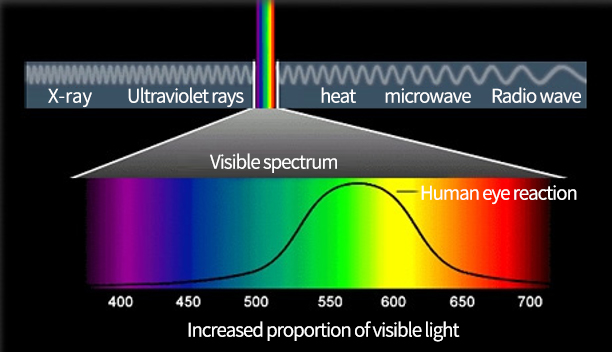 1606383315966843.jpg 1604562857691782.jpg